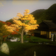 Illustration for article titled More On Shiki-Tei, The PS3 Gardening Game